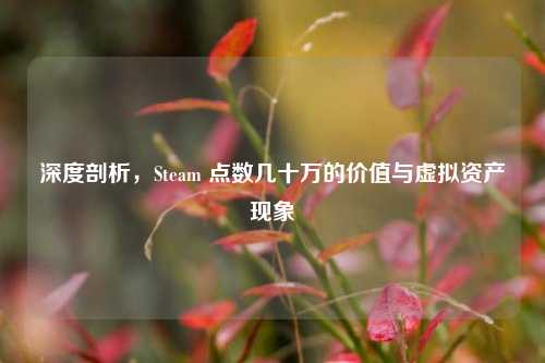 深度剖析，Steam 点数几十万的价值与虚拟资产现象