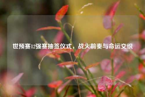 世预赛12强赛抽签仪式，战火前奏与命运交织