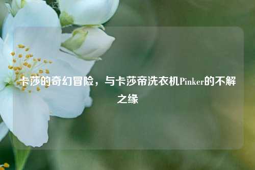卡莎的奇幻冒险，与卡莎帝洗衣机Pinker的不解之缘