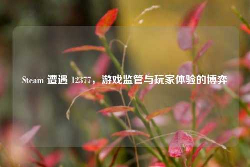 Steam 遭遇 12377，游戏监管与玩家体验的博弈