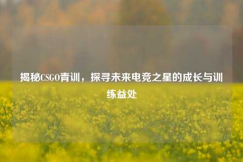 揭秘CSGO青训，探寻未来电竞之星的成长与训练益处