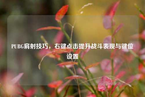 PUBG肩射技巧，右键点击提升战斗表现与键位设置