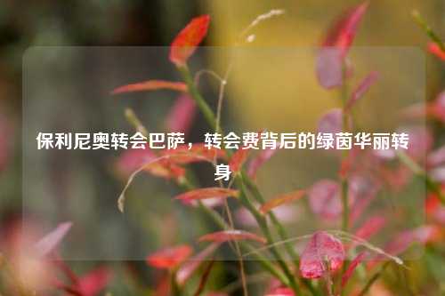 保利尼奥转会巴萨，转会费背后的绿茵华丽转身