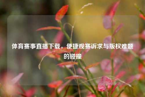体育赛事直播下载，便捷观赛诉求与版权难题的碰撞