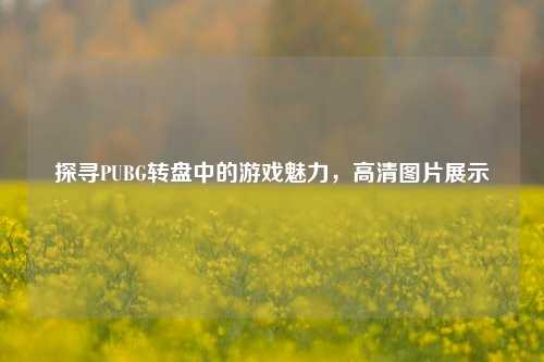 探寻PUBG转盘中的游戏魅力，高清图片展示