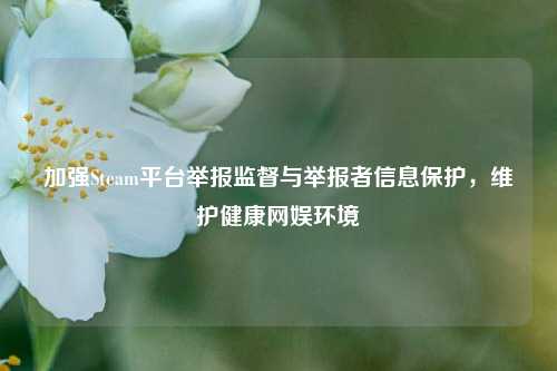 加强Steam平台举报监督与举报者信息保护，维护健康网娱环境