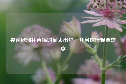 央视欧洲杯直播时间表出炉，开启球迷观赛盛宴
