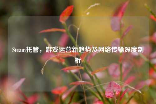 Steam托管，游戏运营新趋势及网络传输深度剖析