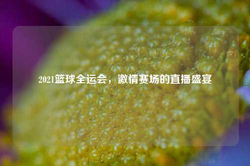 2021篮球全运会，激情赛场的直播盛宴