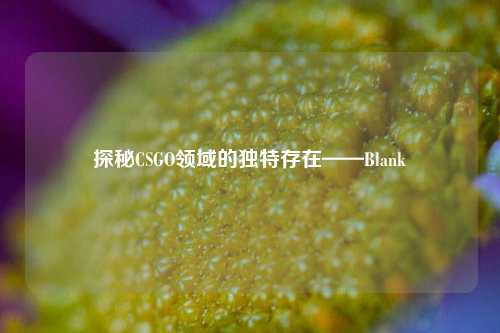 探秘CSGO领域的独特存在——Blank