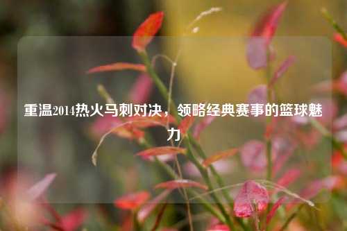 重温2014热火马刺对决，领略经典赛事的篮球魅力