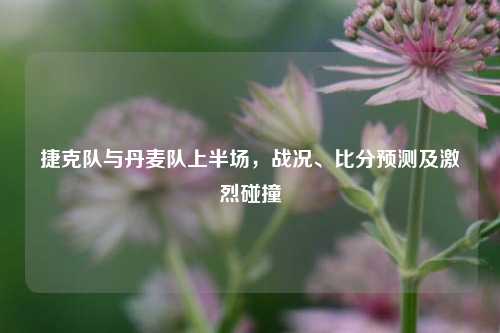 捷克队与丹麦队上半场，战况、比分预测及激烈碰撞