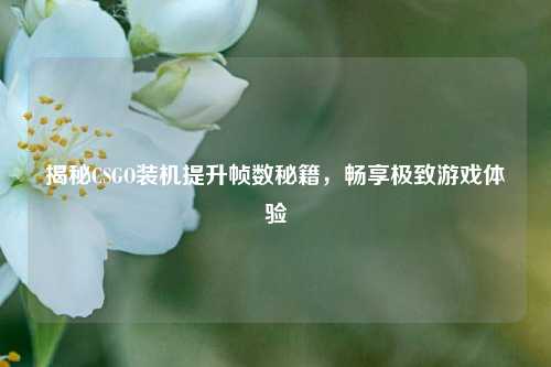 揭秘CSGO装机提升帧数秘籍，畅享极致游戏体验