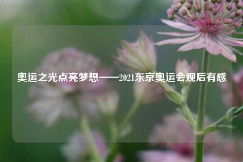 奥运之光点亮梦想——2021东京奥运会观后有感