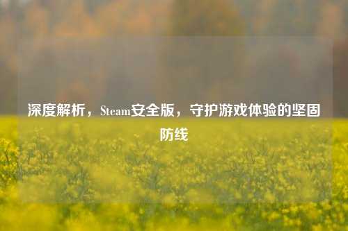 深度解析，Steam安全版，守护游戏体验的坚固防线