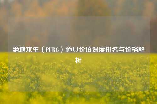 绝地求生（PUBG）道具价值深度排名与价格解析