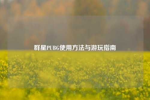 群星PUBG使用方法与游玩指南