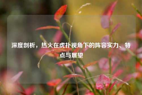 深度剖析，热火在虎扑视角下的阵容实力、特点与展望