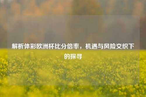 解析体彩欧洲杯比分倍率，机遇与风险交织下的探寻
