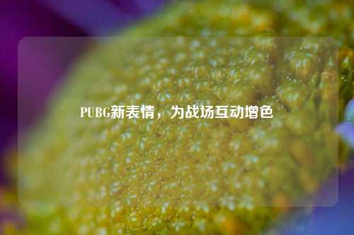 PUBG新表情，为战场互动增色
