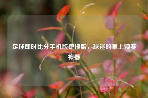 足球即时比分手机版捷报版，球迷的掌上观赛神器